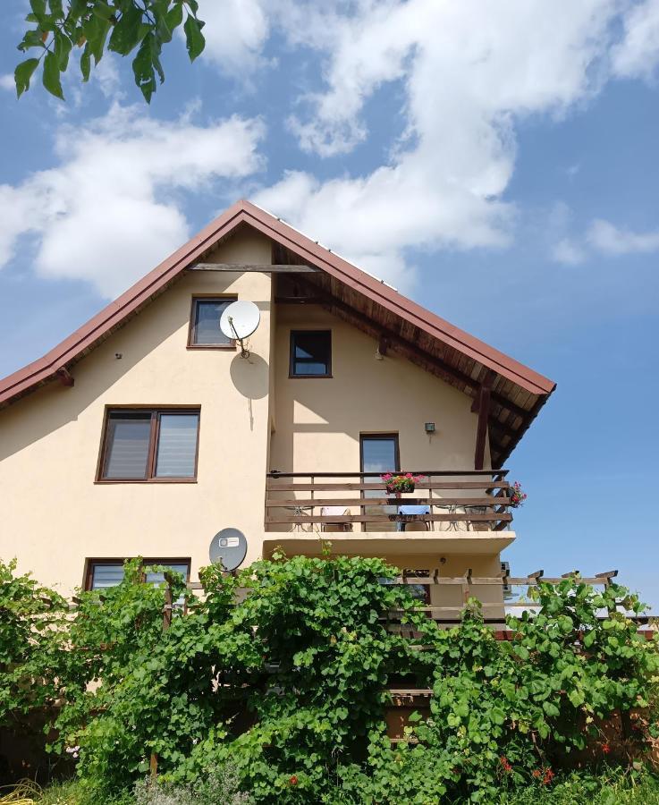 Wynajem Pokoi Wiki Apartment Mikołajki Екстериор снимка